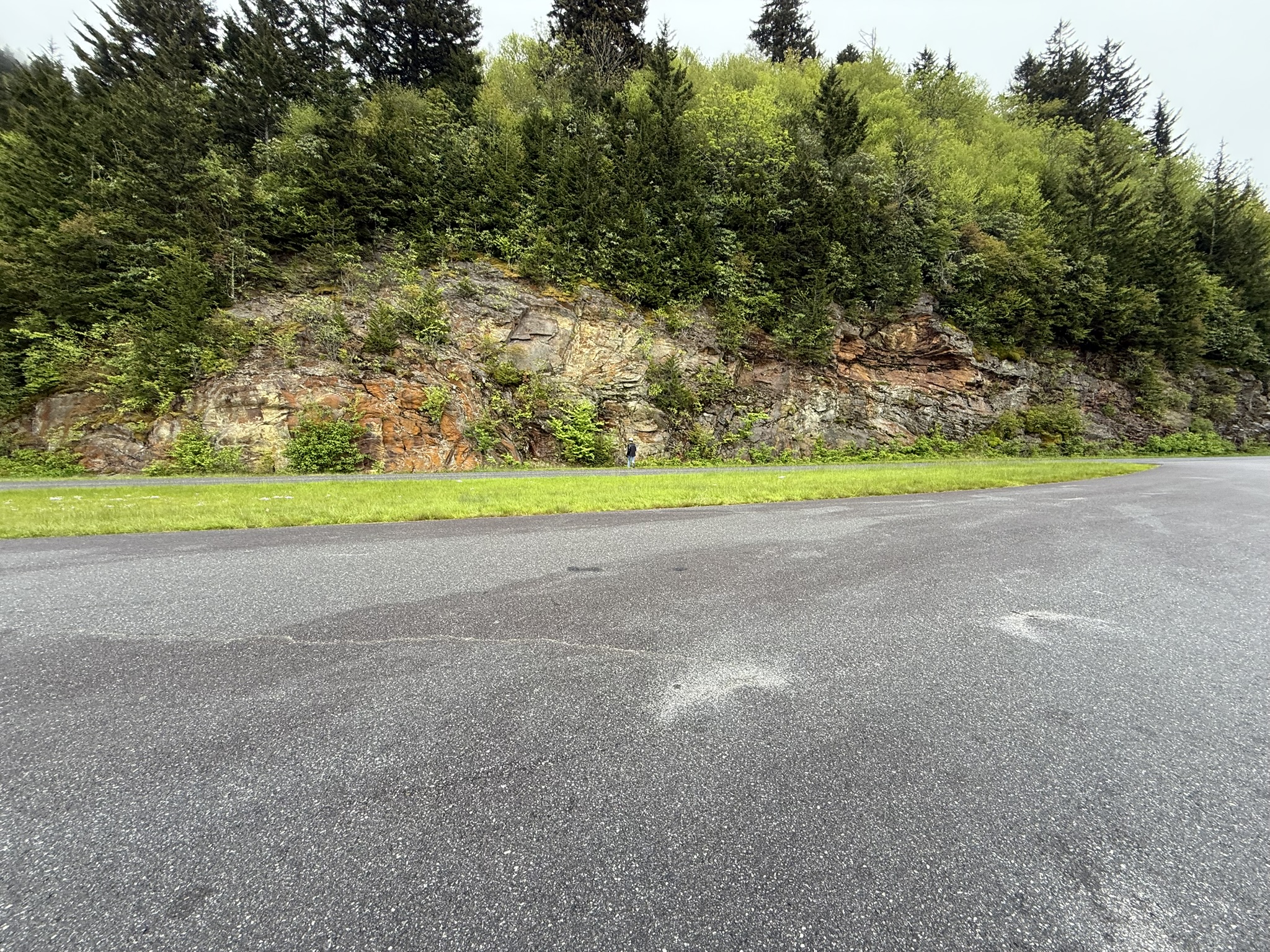 Mountain road cut