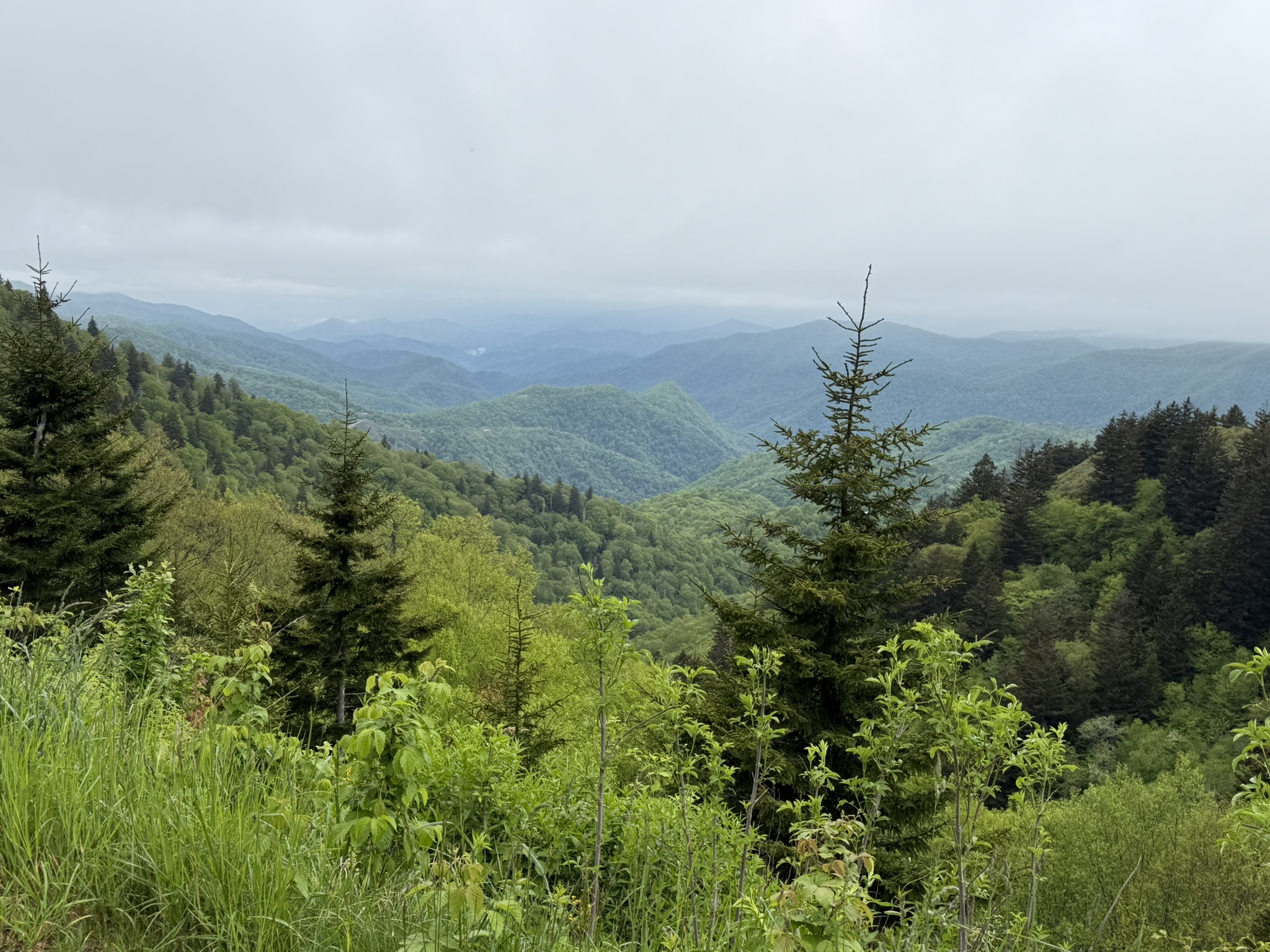 BRP mountain vista