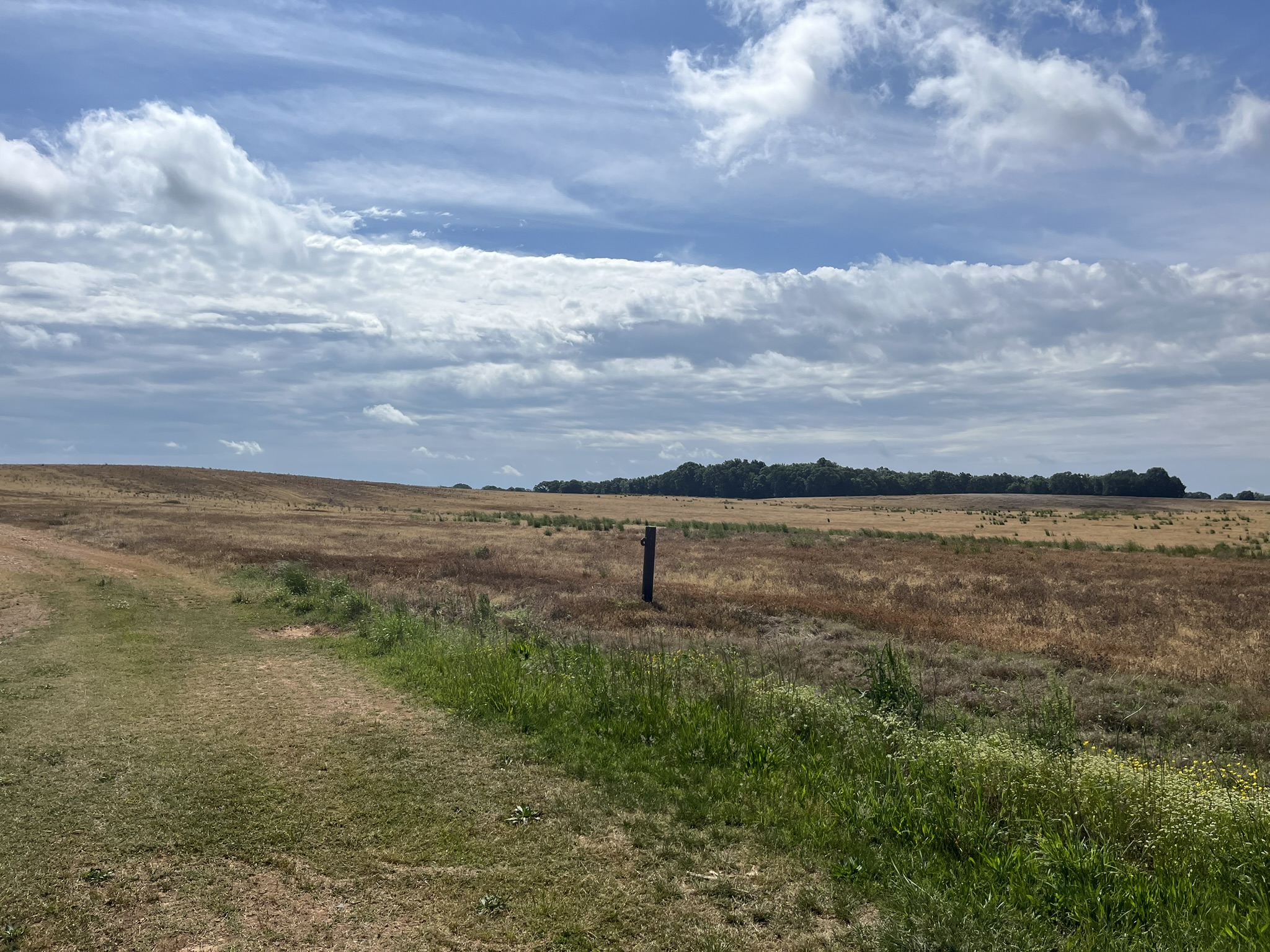 Rural road landscape