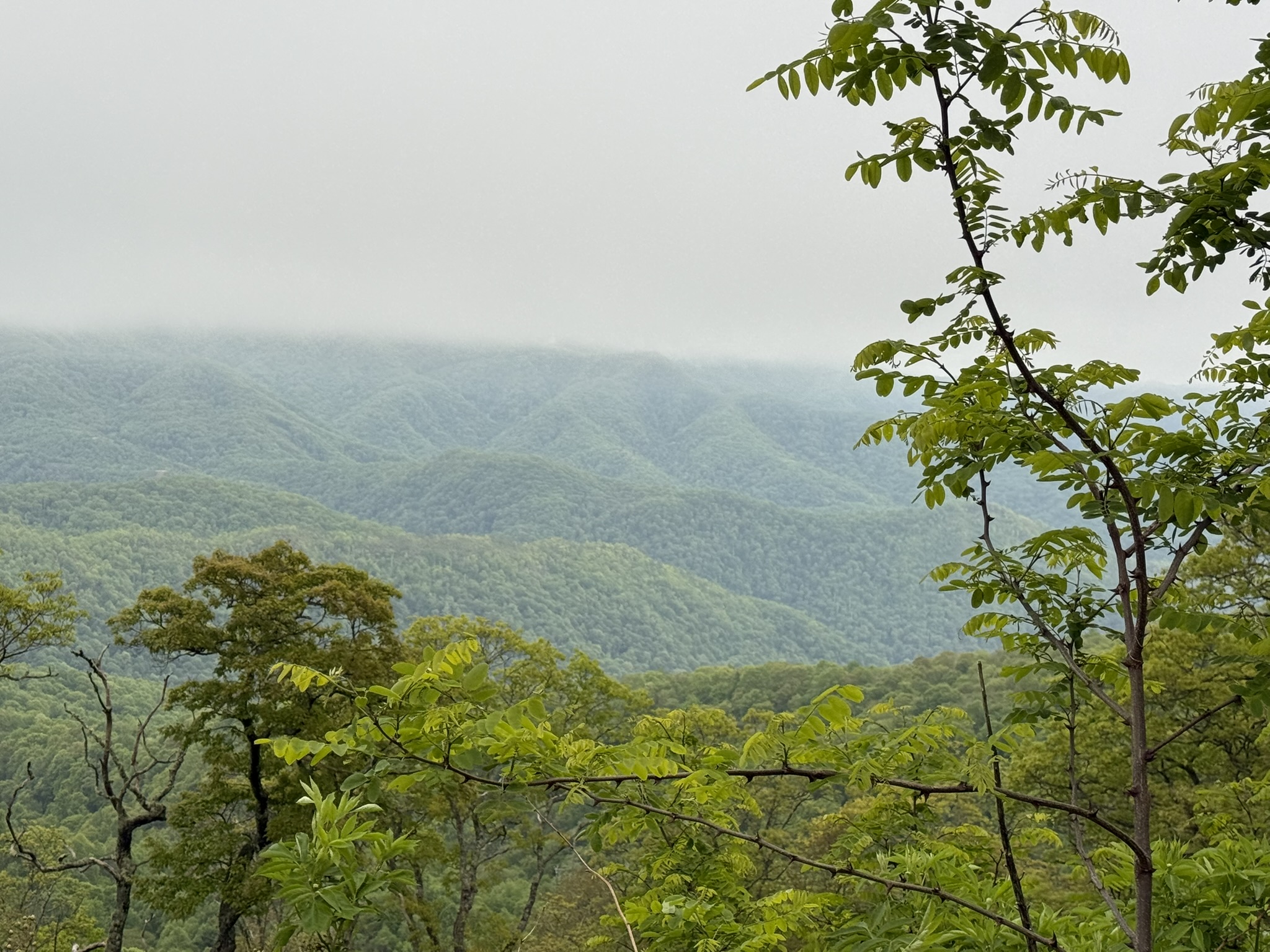 BRP mountain vista