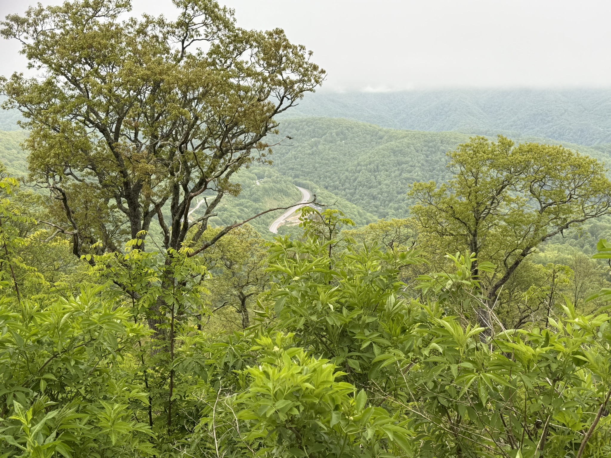 BRP ridgeline vista